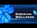 Обновленный Маркетинг план компании Siberian wellness 26 бизнес года