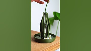 I bet you have never seen a vase like this!