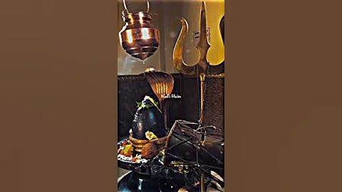 Mahadev Status☘️Bholenath Status🔱Mahakal Status🍀Mahashivratri Status❤️ Daulat Saorat Song #shorts