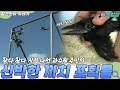 [지식실험] 까치 잡으려다가 까치 연구자가 된 과수원 아저씨  [발견천하 유레카] | KBS 2008611 방송