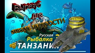 Русская Рыбалка 3.99 Вырезуб