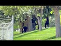 Crews Catch Black Bear Trapped Up in Nampa Tree