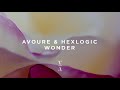 Avoure  hexlogic  wonder