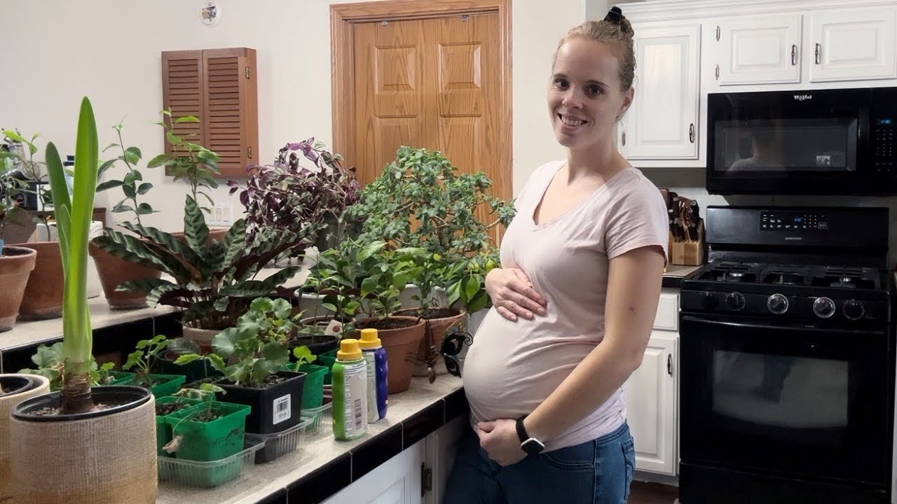 Pregnancy Announcement & Houseplant Care! Simply Bloom YouTube