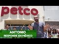 Antonio en México_Respondiendo preguntas en vivo (4 parte)