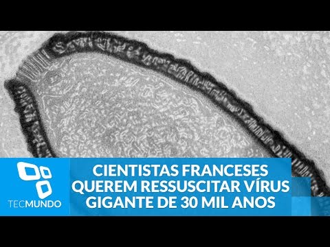 Vídeo: Um Vírus Gigante Foi Encontrado Na Sibéria - Visão Alternativa