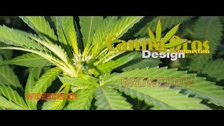 The CannaBros GrowShow 🌱