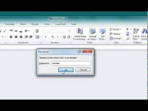 How to set and remove password in Microsoft Excel 2010 | 2013 | 2016