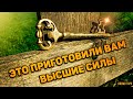 Вам СРОЧНОЕ сообщение от Высших Сил! Что хорошего готовит судьба? Что на пороге?🔸 Гадание Таро