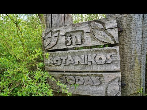 Video: Nikitsky Botanikos Sodas