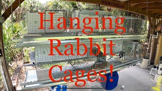 DIY  How to hang your rabbit cages and keep the predators away!  You can also collect the manure!