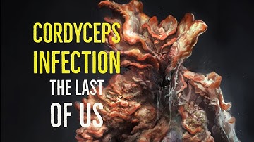 Cordyceps Infection (The Last of Us Explored)