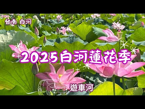 2025 -6 台南 2025白河蓮花季 關帝廳賞蓮區????遊車河 ⮕竹門活動中心(這就是人蔘)⮕ 竹門賞蓮區