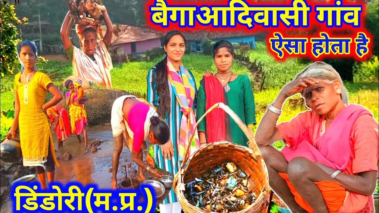 बैगा आदिवासियों का जनजीवन || Baiga Tribal village Life || dindori(M.p)...