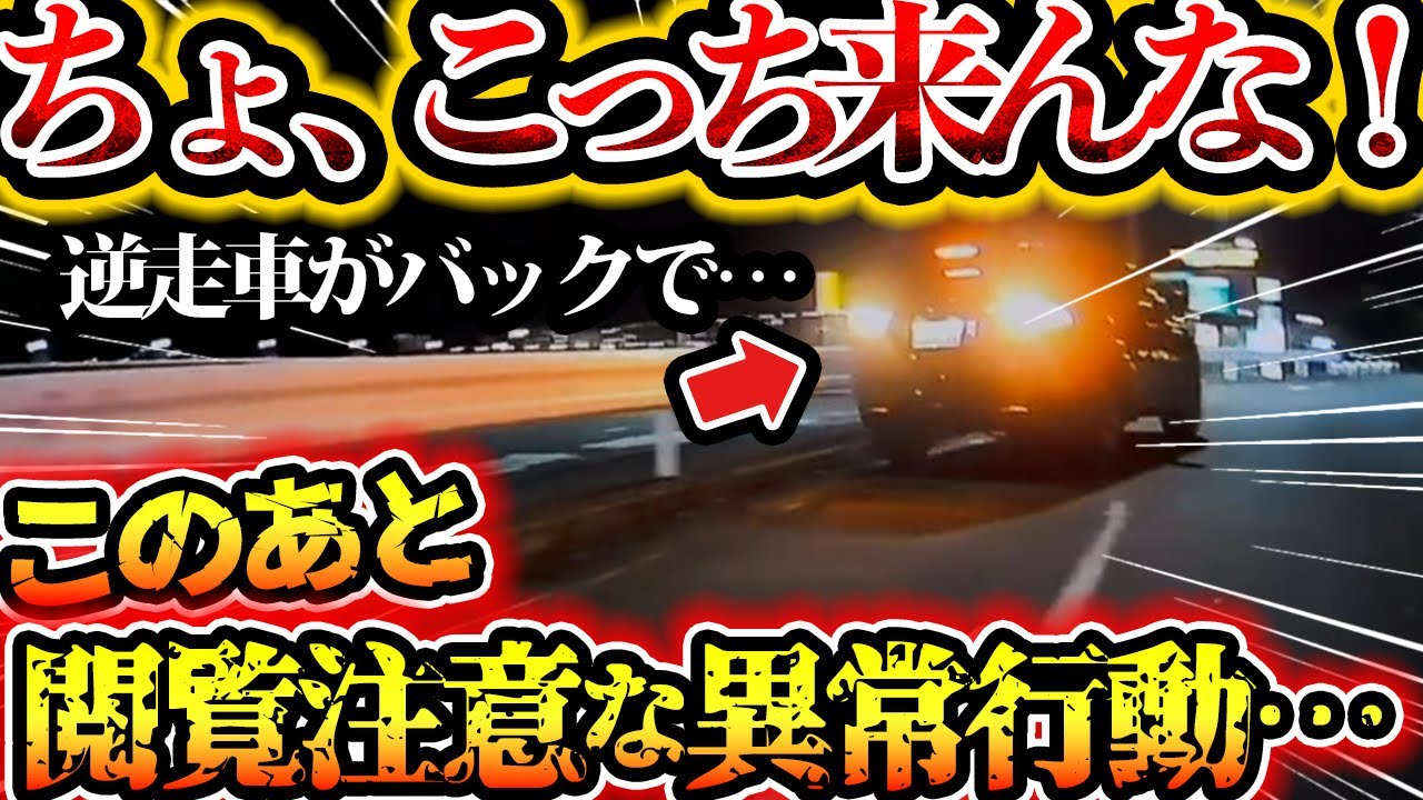 【ドラレコ】ちょ、こっち来んな！逆走車がバックで異常行動…  バカバイク　異常な右折【交通安全啓発・危険予知トレーニング】