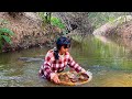 Finding Natural Collorfull Gems, Agate, Quartz Crystal, Carnelian In The River