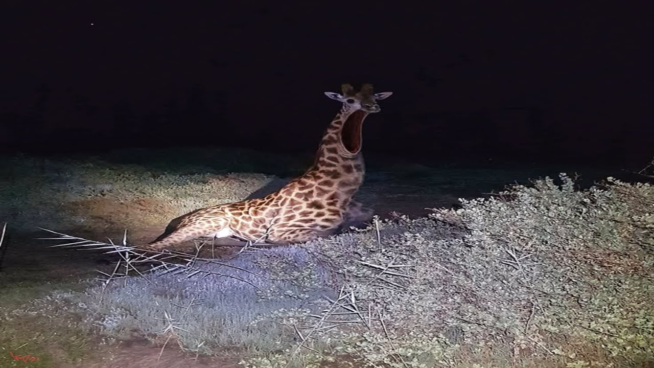 Two Time, but its cursed image art