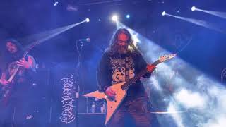 Download Lagu CAVALERA CONSPIRACY- “War Pigs Territory”/ “Infected Voice”/ “Orgasmatron” LIVE at The Forge 6/4/22 MP3