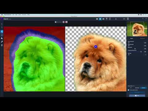 Learn how to mask images better and faster with Mask AI