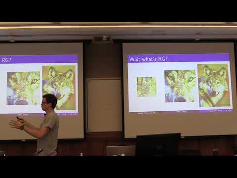 The Tensor Renormalization