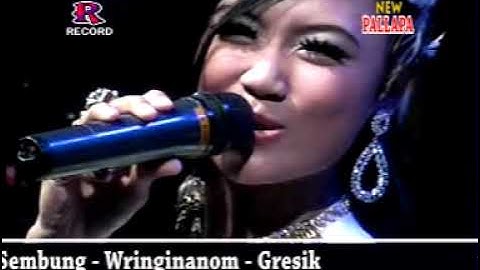 Mendem Kangen - Tyas Asmara - New Pallapa live Drancang Menganti Gresik 2014