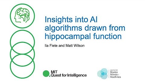 Insights into AI algorithms drawn from hippocampal function: Matt Wilson and Ila Fiete, 11-4-2022