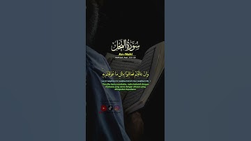 قران كريم راحة نفسية 😊ياسر الدوسري#quran  #القرآن_الكريم#explore #short #اكسبلور  #viralvideo