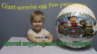 Щенячий патруль огромное яйцо с сюрпризом открываем игрушки Giant surprise egg Paw patrol toys Щенячий патруль огромное яйцо с сюрпризом открываем игрушки Giant surprise egg Paw patrol toys