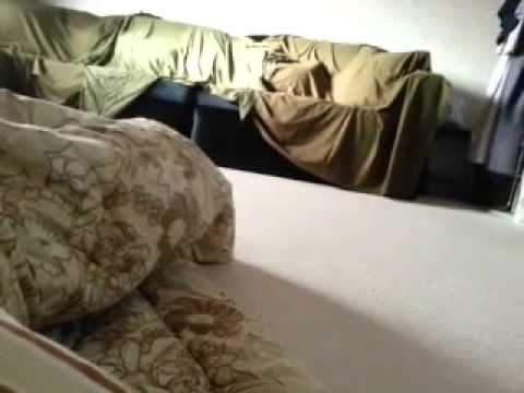 صورها وهي نايمة للكبار و قناة الجزيرة تتحدث على مصر 18