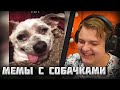 Пятёрка Смотрит Подборку Смешных Видео с Собачками | Реакция Пятёрки на Подборку мемов