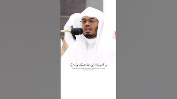 أَوَلَمْ يَرَوْا إِلَى مَا خَلَقَ اللَّهُ مِنْ شَيْءٍ يَتَفَيَّأُ ظِلَالُهُ - القارئ ياسر الدوسري