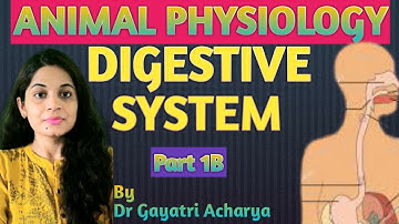 DIGESTIVE SYSTEM / Part 1B/ANIMAL PHYSIOLOGY /CSIR-UGC NET/By Dr Gayatri Acharya
