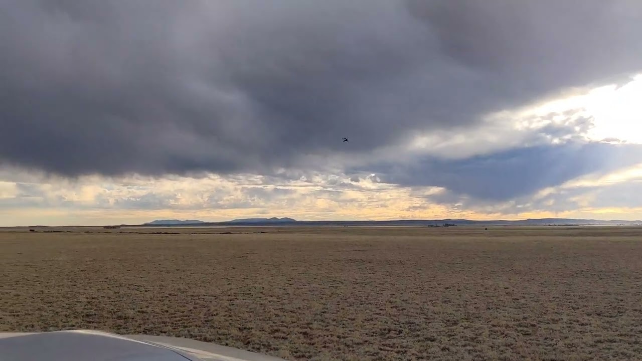 Gyrfalcon catches rocrow