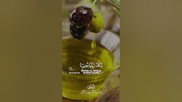 القارئ علاء المزجاجي ((سورة النور))