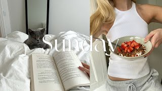 sunday vlog | cleaning, relaxing & cooking lemon pasta