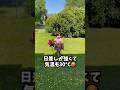 大きな風車と全力ダッシュ🌈🍃 #癒し #日常 #ショート動画 #庭遊び #風車 #Toddler #CuteKids #MomLife #Shorts #FamilyMoments