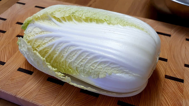 겨울 보약 배추는 이렇게 드세요! 살도 안찌는데 너무 맛있어서 배추 한 통 또 사러갑니다🥬 배추요리 2탄
