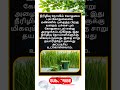 Daily life use knowledge fact💥 #tamilgk #shortfeed #tamilshorts #shorts #short #gk #tamilnadu #tamil