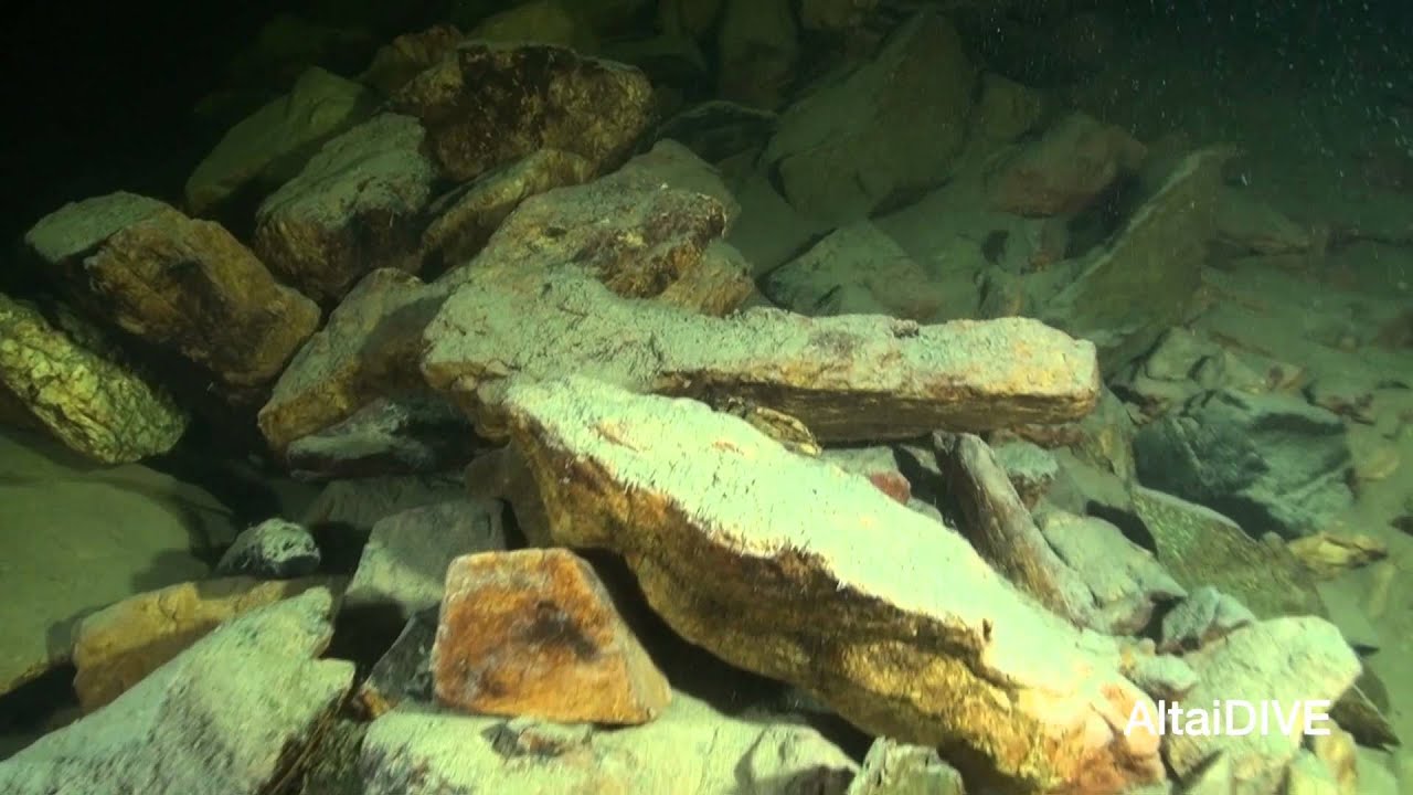 Телецкое фильм первый