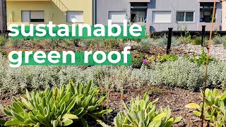 Green Roof For Urban Sustainability