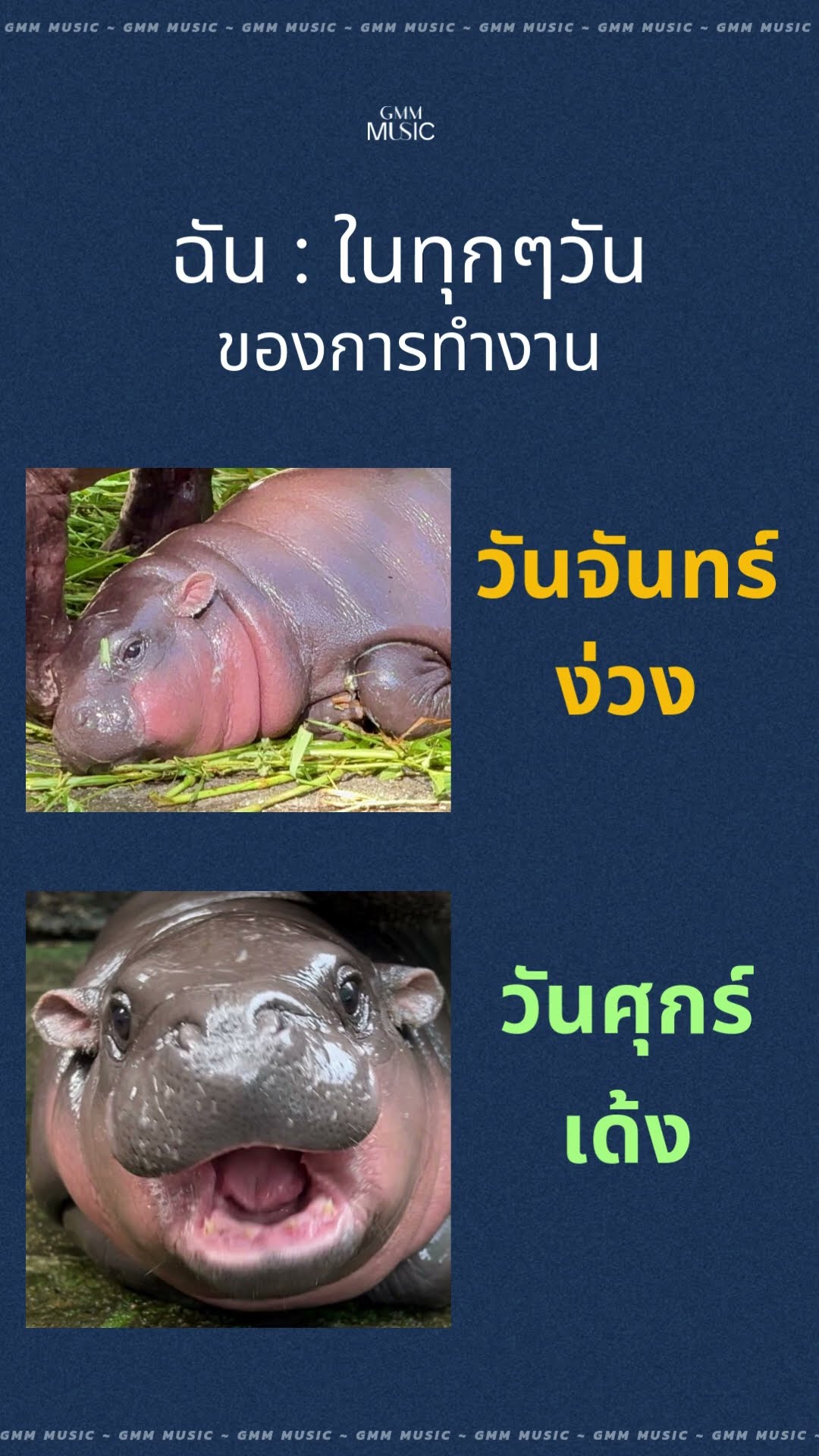 เศร้าซึมม...ของแทร่ ? #หมูเด้ง #GMMMusic