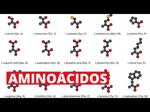 Vídeo: Aislamiento Y Caracterización Bioquímica De Péptidos Potenciadores De Bradiquinina De Rinocerontes De Bitis Gabonica