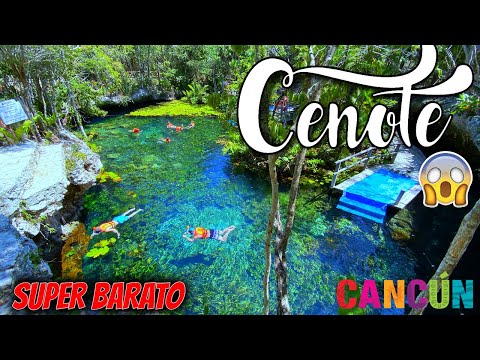 😱 Asi son los 4 Cenotes + Famosos RIVIERA MAYA (Solo $200 MX ($8.01 USD) 🔴 2 Ojos PARK ✅ CANCUN