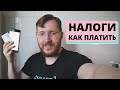 Приложение Мой Налог, Самозанятые и ИП на НПД. Расчетный счет ИП в Тинькофф Банке