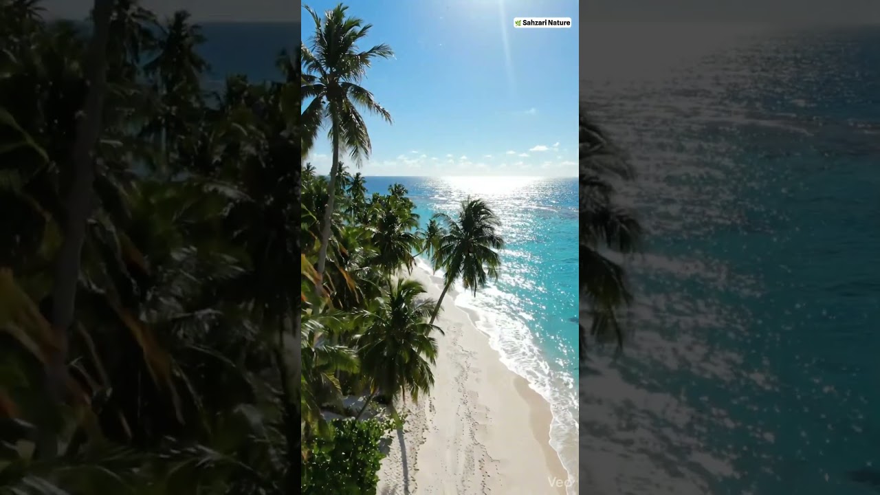 🌊 Tropical Beach Relaxation | Calm Ocean Waves & Beautiful Nature Scenery 🌴 #shortvideo