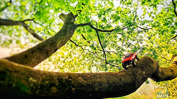 New stock WPL C24 RTR 🤯 Full Proportional Throttle & Steering.