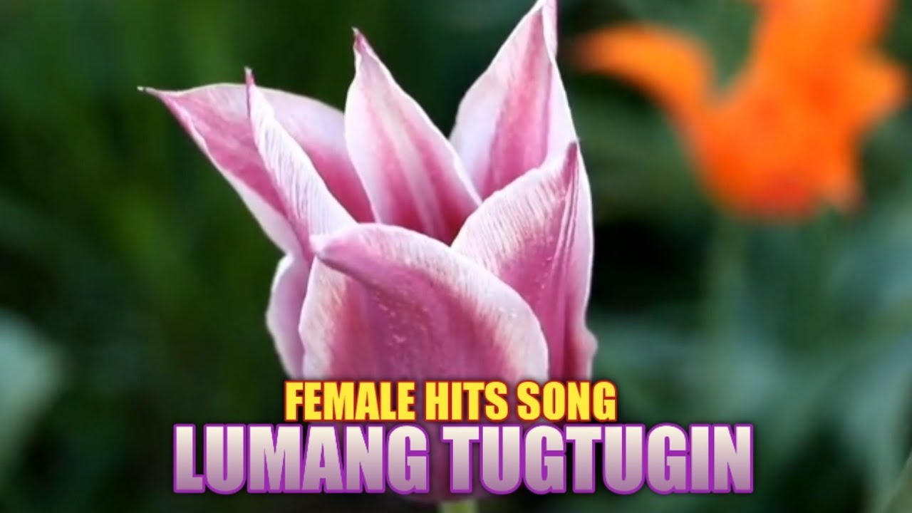 Lumang Tugtugin Female Hits Song L Opm Love Song Nonstop Youtube