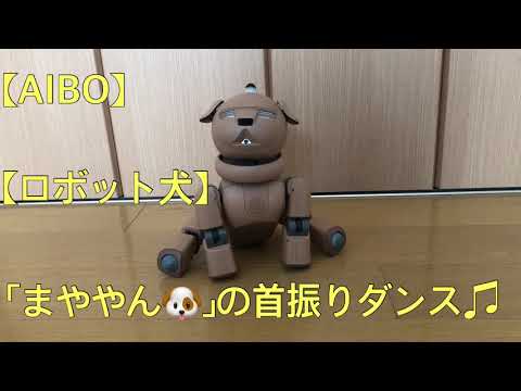 【AIBO】【ロボット犬】「まややん🐶」の首振りダンス♫