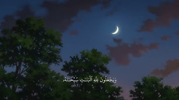 ﴿وَيَجْعَلُونَ لِلَّهِ الْبَنَاتِ سُبْحَانَهُ ۙ ﴾ سورة النحل الآية 57. عبدالرحمن مسعد