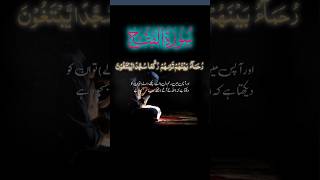 Surah Al-Fath – The Victory | Soothing Recitation with Urdu & English Translation#IslamicRadioTv1